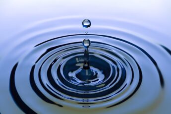 Thai Navy and BIOTEC Collaborate to Combat Oil Pollution