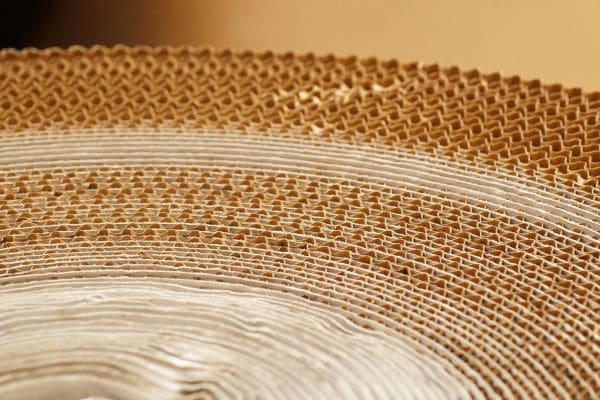 Paper Packaging