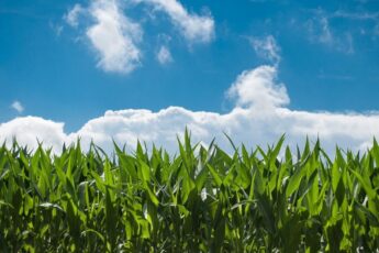 Malaysia to Transform Mersing and East Coast Region as Major Agribusiness Hub
