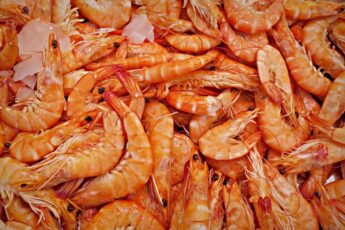 Thai Seafood Giant Targets the Sustainable and Plant-based Segment in Partnership with US Specialists