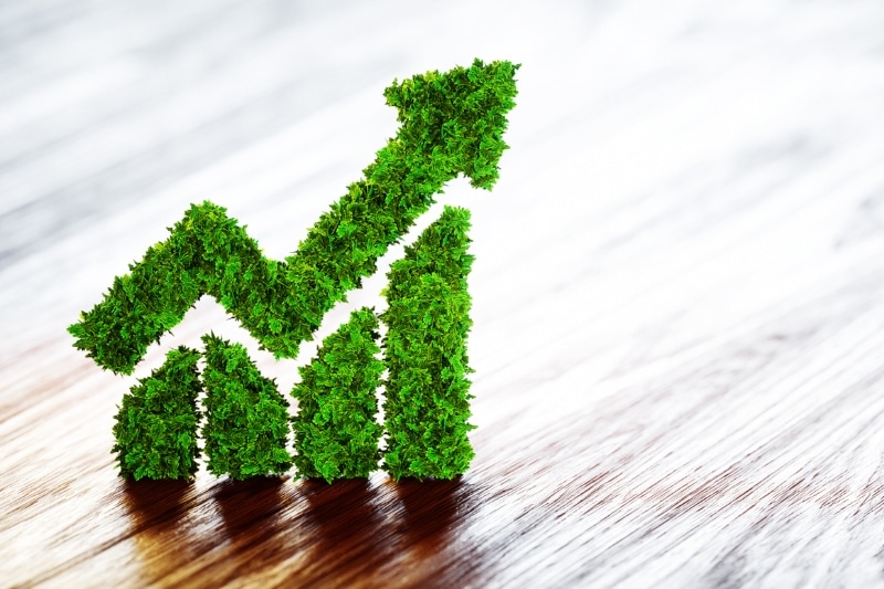 green finance investment sustainable carbon