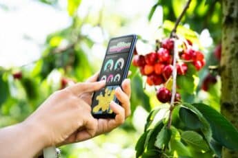 International Collaborations Support Singapore’s 30 by 30 Food Security Initiative