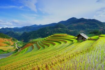 Malaysia Government Invests USD 1.06 billion to Transform Agriculture and Boost Rice Production