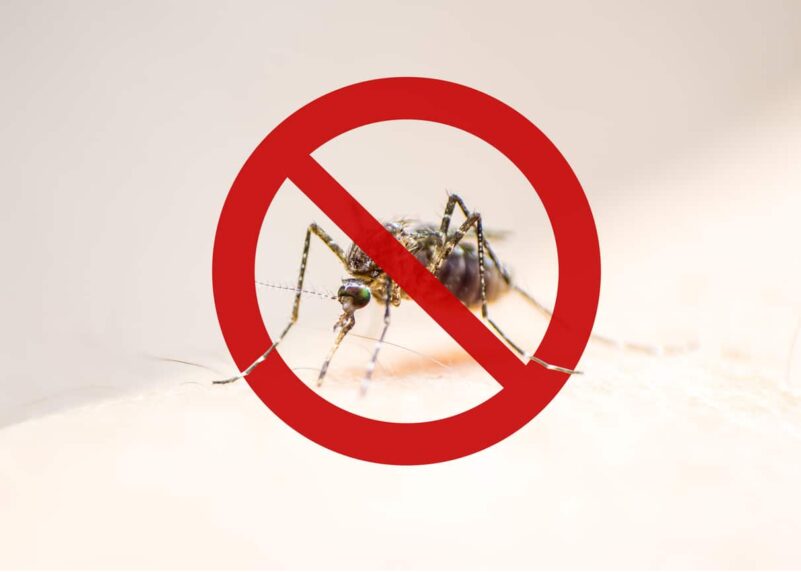ULAP and Takeda Philippines Partner to Strengthen Dengue Prevention Efforts